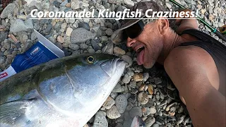 Coromandel Kingfish Craziness!!