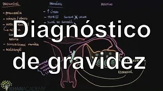 Diagnóstico de gravidez | Vida e evolução | Khan Academy