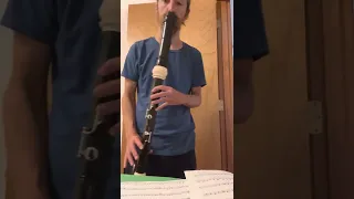 Practicing Greensleeves Bass Recorder (amateur)