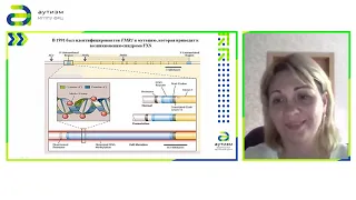 1 "Синдром умственной отсталости, сцепленной с ломкой хромосомой Х (FXS)"