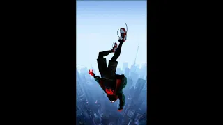 Spider-man into the spider verse [sunflower]