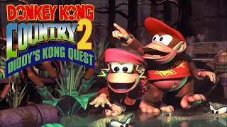 Donkey Kong Country 2 Soundtrack "In A Snow-Bound Land"