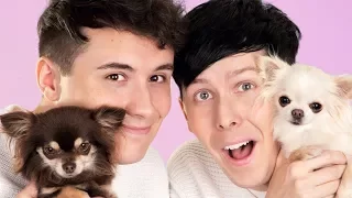 Dan and Phil AND DOGS!