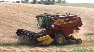 New Holland 3560 AL  -Trebbiatura 2014-   _Full HD_