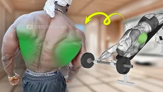 6 Big Back Workout ( Simple Effective Exercises )