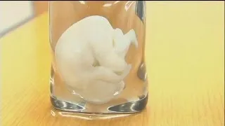 Будущий малыш в формате 3D - hi-tech