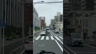 横断歩道には死角も多い #shorts