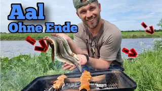 Aale satt und Lachs am Spieß | Angeln am Tiedestrom #aal #eel #angeln #fishing #cooking