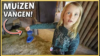 ER ZiTTEN MUiZEN iN ONS KONiJNENVERBLiJF! | Bellinga Vlog #2628