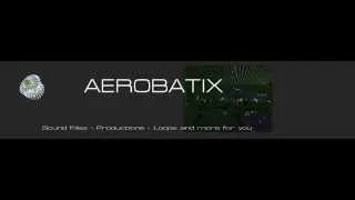 Aerobatix Live TR808 - 2xTB303 - PPG Wave 2.3 in Mix