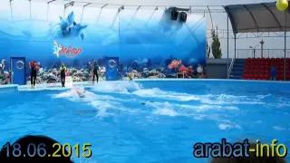 Дельфинарий Оскар на Арабатской стрелке 2015