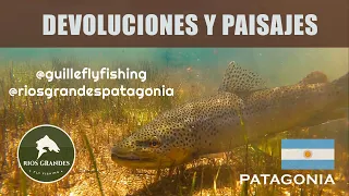 DEVOLUCION TRUCHAS MARRONES Y PAISAJES DE PATAGONIA #flyfishing #pescaconmosca #browntrout