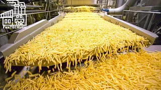 Ever Wondered How French Fries Are Made?! Join us on this FanTECHstic Factory Tour!