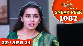 Anbe Vaa Serial | EP 1087 Sneak Peek | 22nd April 24 | Virat | ShreeGopika | Saregama TV Shows Tamil