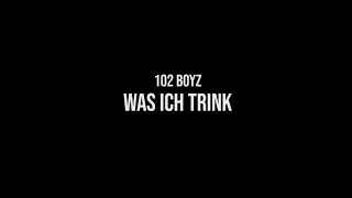 102 BOYZ - WAS ICH TRINK (prod. by 77) Official Video