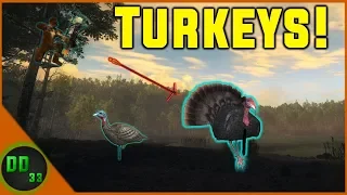 THIS IS WHY I LOVE THEHUNTER CLASSIC!!  Turkeys  TheHunter Classic 2019