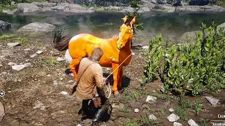 Arthur catch a Pumkin beautiful Horse - Red Dead Redemption 2 Gameplay