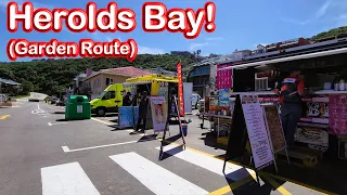 S1 – Ep 285 – Herolds Bay – Spectacular Scenery, Beach and Tidal Pools!