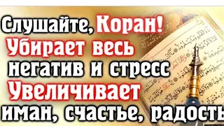 Коран для успокоения души слушайте каждый вечер.