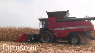 Massey Ferguson 9545 Combine Harvesting Corn in Field Demo at Farm Progress Show 2015