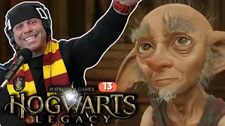 Fly Highwing Fly: Hogwarts Legacy gameplay Part 13