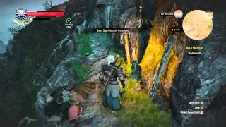 The Witcher 3: Wild Hunt Epic Battle