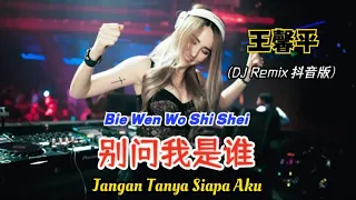 王馨平 - 别问我是谁 (抖音DJ版) Bie Wen Wo Shi Shei【Jangan Tanya Siapa Aku/ Don't Ask Who I Am】- Terjemahan