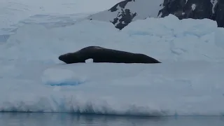 Conciencia Ambiental