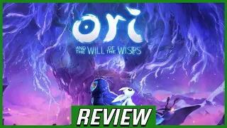 Ori And The Will Of The Wisps REVIEW - Art In Motion