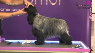 How to groom a Cocker Spaniel - Coat King - Grooming Guide- Pro Groomer