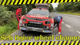 WRC 2019. Rally of Wales In between stages