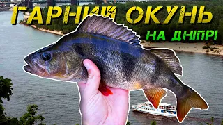 ✅🍉Гарні Окуні На Дніпрі! Ловля Київських Кавунів🍉✅