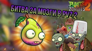 БИТВА ЗА МОЗГИ В PvZ 2 ! Получаем ГРУШУ ! Играем на арене !