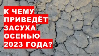 До чого призведе посуха восени 2023 What will the abnormal drought lead to in the fall of 2023