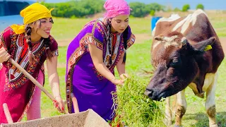 فيلم قصير : هاد لبنات جابتهم مهم من البادية للمدينة باش يخدمو لاكن تبدلو و ندمو مهم 😰