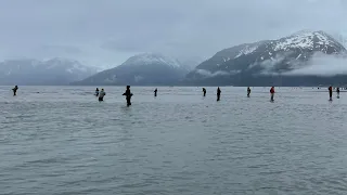 Fishing for Sockeye Salmon in Seward ,Alaska June 8, 2023