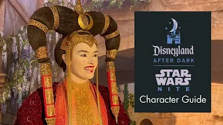 Character Guide: Disneyland After Dark: Star Wars Nite 4K