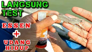 Cara Mengkombinasikan Essen + Umpan Udang Hidup untuk Mancing di Muara/Laut