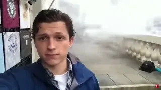 fotosintesis meme tom holland