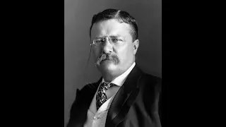 Theodore Roosevelt (v1.0.7)
