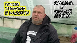 ПОСЕВ ТОМАТОВ в КАССЕТЫ/Как избавиться от Черной Ножки? "Питиум"