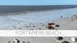 Florida Beach Walk. Post-Storm, Low-Tide, Early Morning Beachcombing on Fort Myers Beach Florida.