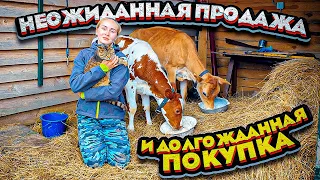 К нам Приехал Папа!!! Нам предстоит ОЧЕНЬ МНОГО Дел!!! Неожиданная Продажа и ДОЛГОЖДАННАЯ ПОКУПКА