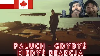 Paluch - Gdybyś kiedyś (Reakcja)