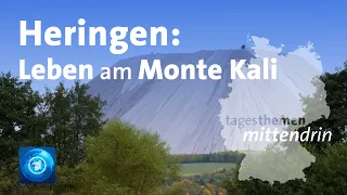 Heringen: Leben am Monte Kali | tagesthemen mittendrin