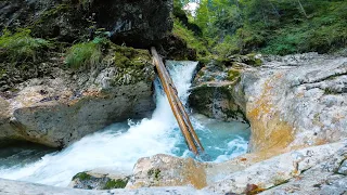 12 Horas de Sonido de Cascada de Agua Cayendo En El Bosque | Ruido de Catarata En Un Río