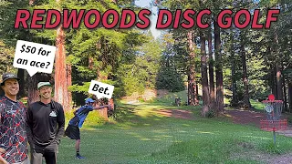 DISC GOLF + REDWOODS = MAGIC! 🪄 (Brooktrails DGC)