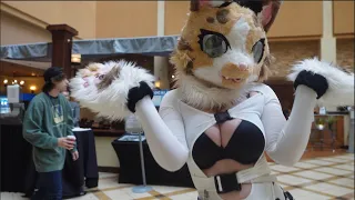 FAVORITE FURSUITS at Stratosfur 2023 Furry Convention