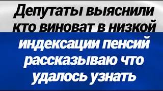 ВОТ ОНО ЧТО! Депутаты выяснили кто виноват в низкой индексации пенсий