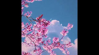(FREE) Lo-fi Type Beat - Lovely Spring